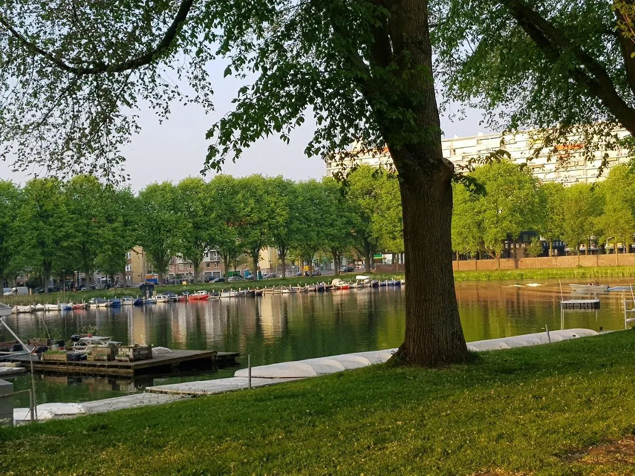 Mi Bnb Amsterdam 0*,